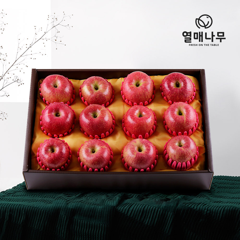 [1/22순차배송][과일愛][열매나무]프리미엄 사과선물세트 1호 [사과12과] 4kg