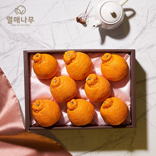 [과일愛][열매나무]리얼푸릇 한라봉 선물세트 2kg [7~10과]