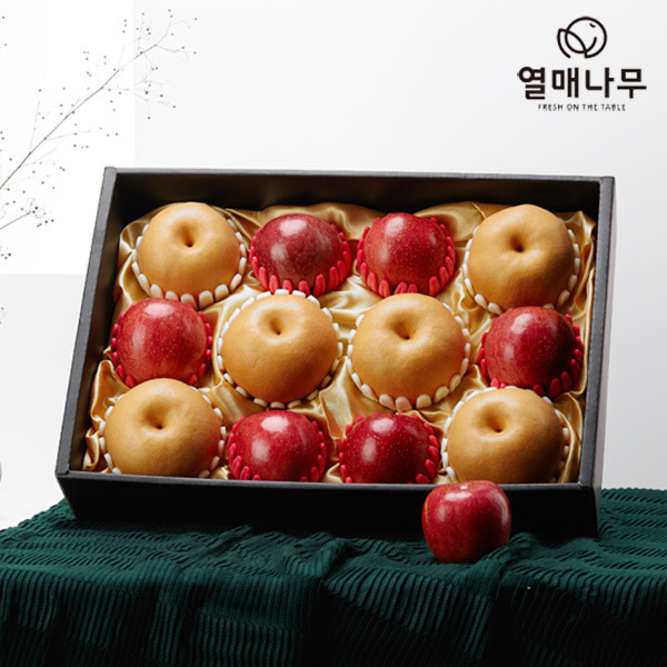 [1/22순차배송][과일愛][열매나무]프리미엄 사과배혼합선물세트 1호[사과6과+배6과] 5.7kg