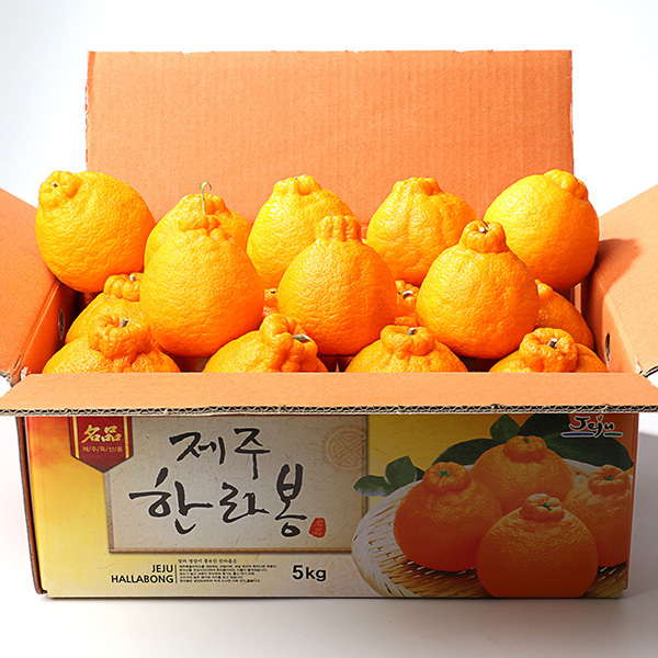 [과일愛]제주 지삿개농장 한라봉 5-2호 (18~20과 5kg 중)