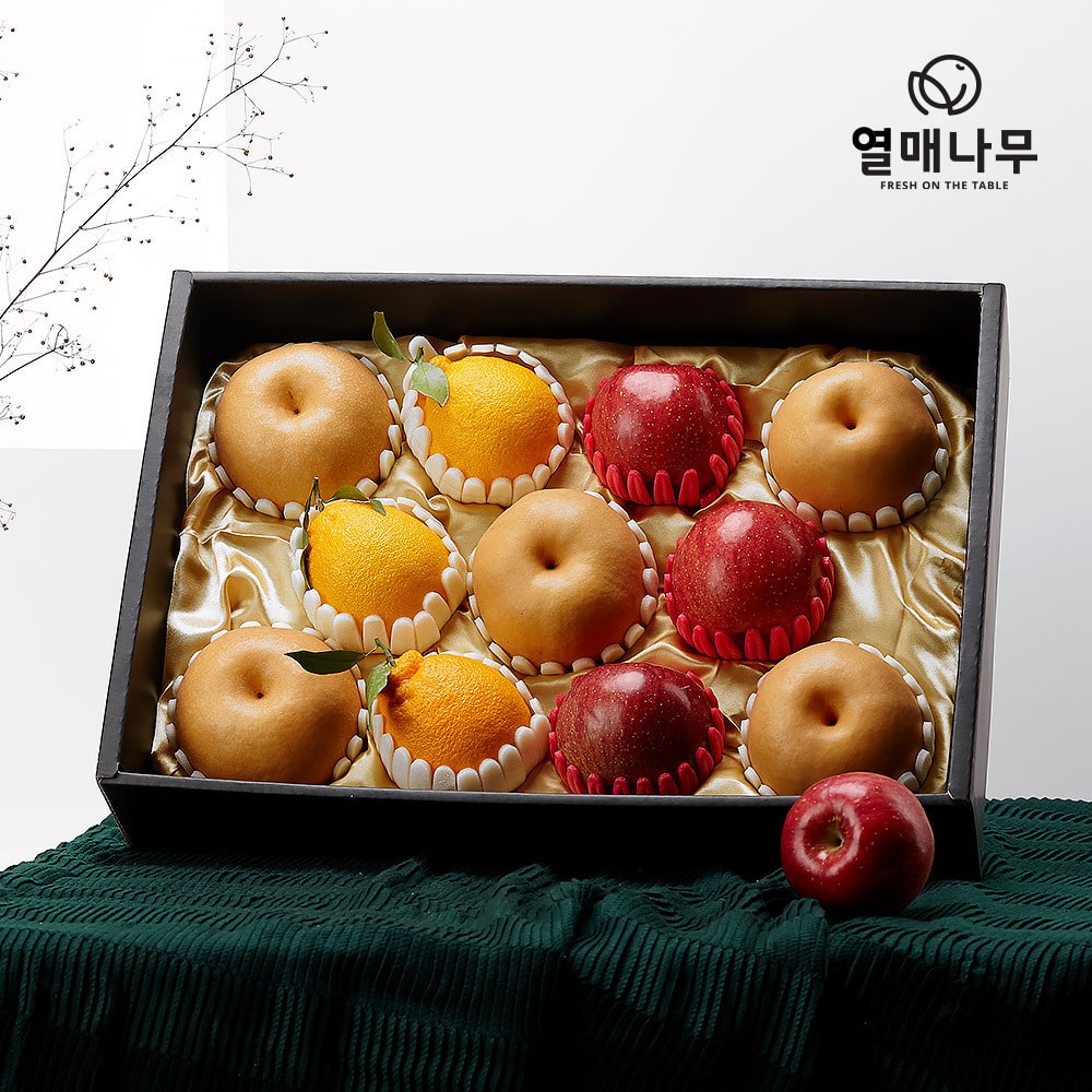 [과일愛][열매나무]프리미엄 사과배혼합선물세트 4호[사과3과+배5과+한라봉3과] 6.1kg