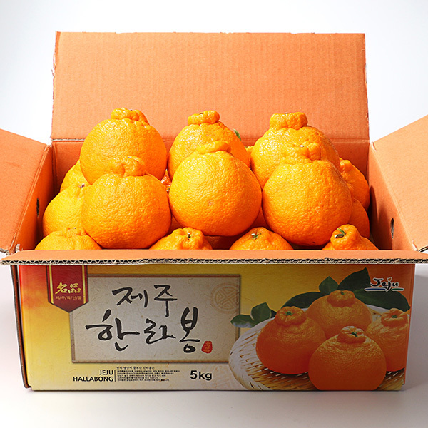 [과일愛]제주 지삿개농장 한라봉 5-3호 (15~17과 5kg 대)