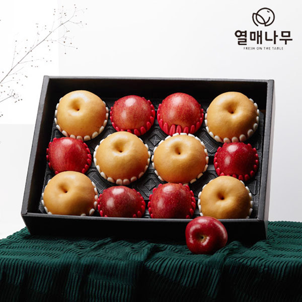 [1/22순차배송][과일愛][열매나무]사과배혼합선물세트[사과6과+배6과] 5.1kg