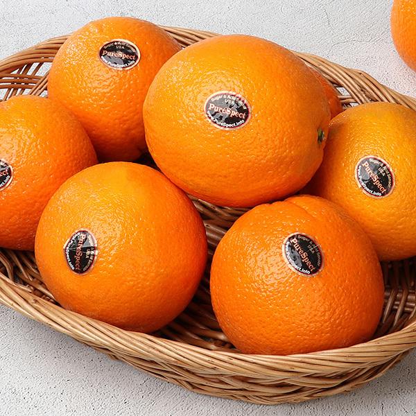 [과일愛]달콤가득 과일 퓨어스펙 오렌지 1.5kg (6~7과)
