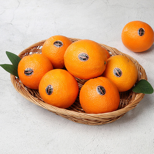[과일愛]퓨어스펙 블랙 고당도 오렌지 대과 3Kg (10~12과)