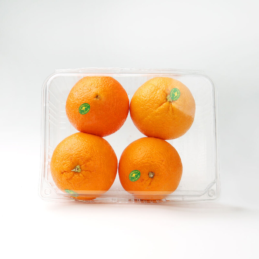 [과일愛]오늘의 과일 오렌지 1.3kg