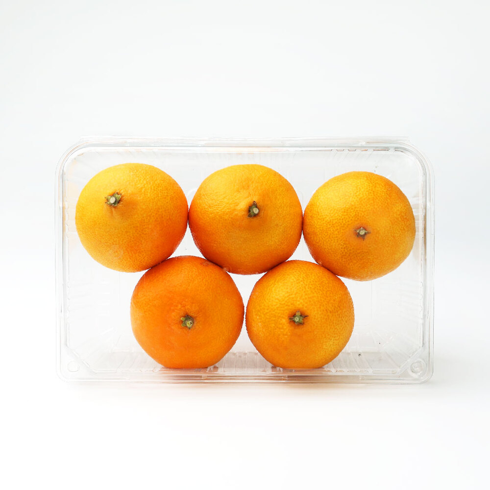 [과일愛]오늘의 과일 황금향 1.2kg