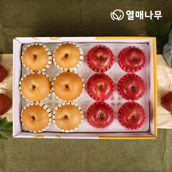 [과일愛][열매나무]정성담은세트 2호 (사과6과+배6과 -5kg)