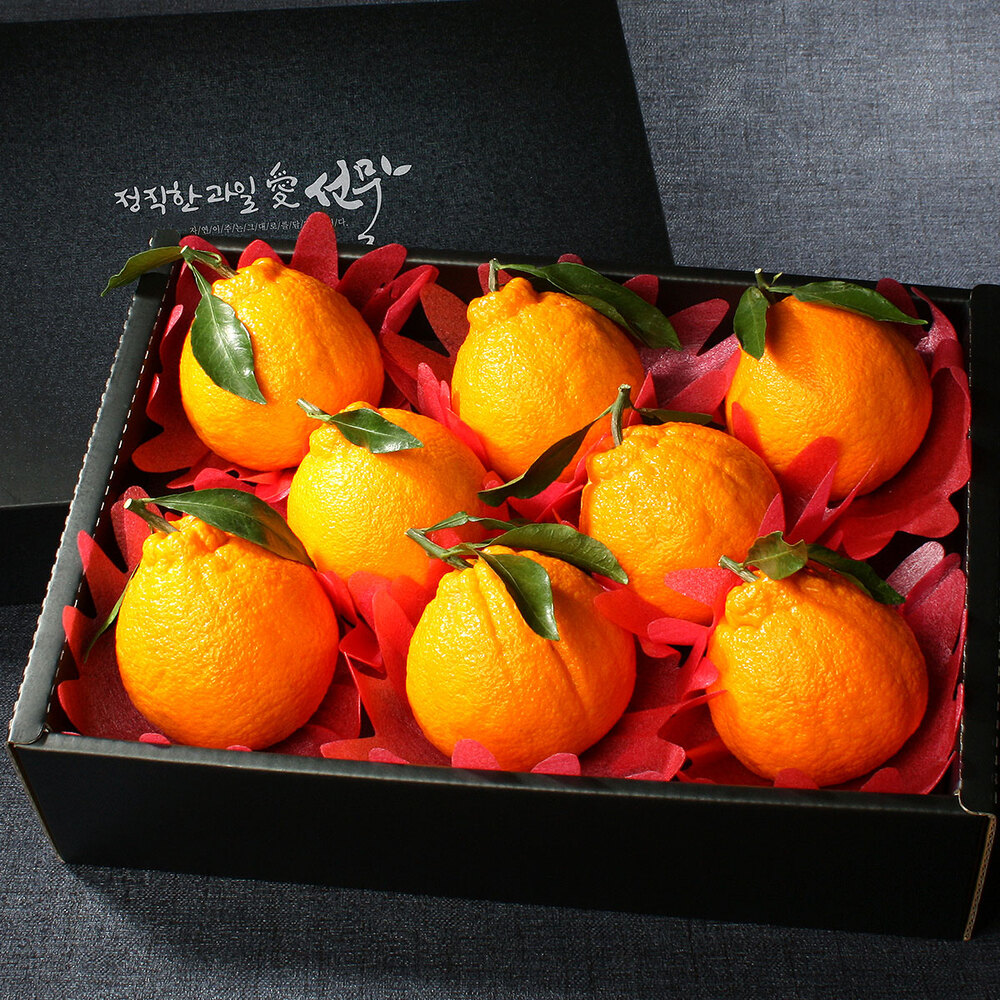 [과일愛]제주 한라봉 선물세트 1호 (7~8과 - 3kg)