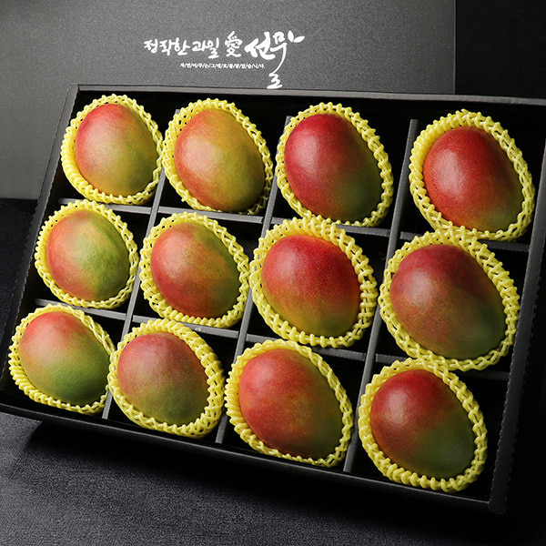 [과일愛]애플망고 선물세트 (12과 - 4.8kg)