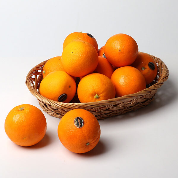 [과일愛]퓨어스펙 블랙 고당도 오렌지 소과 3Kg (15~17과)